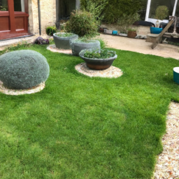 Techniques de taille pour maintenir un jardin esthétique et en bonne santé Lievin